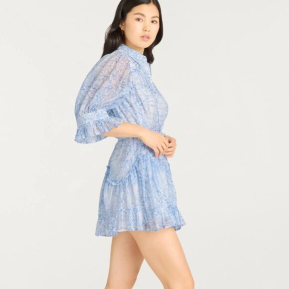 Scenic Toile Voile Gwendoline Dress - Picture 4 of 6